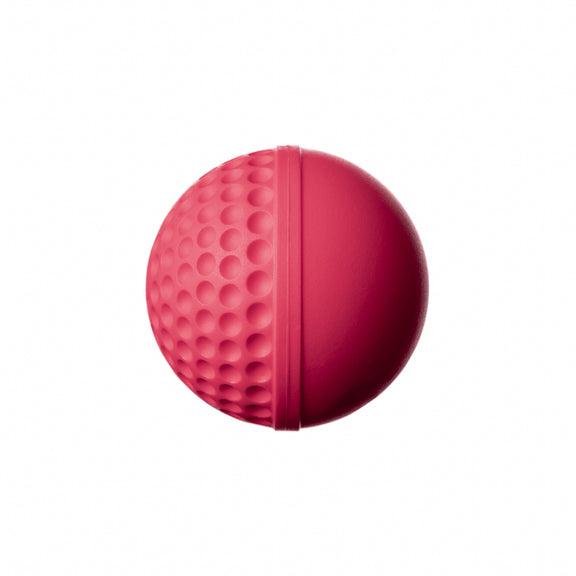 Swinga Balls (Swinga Cricket Technique Ball)