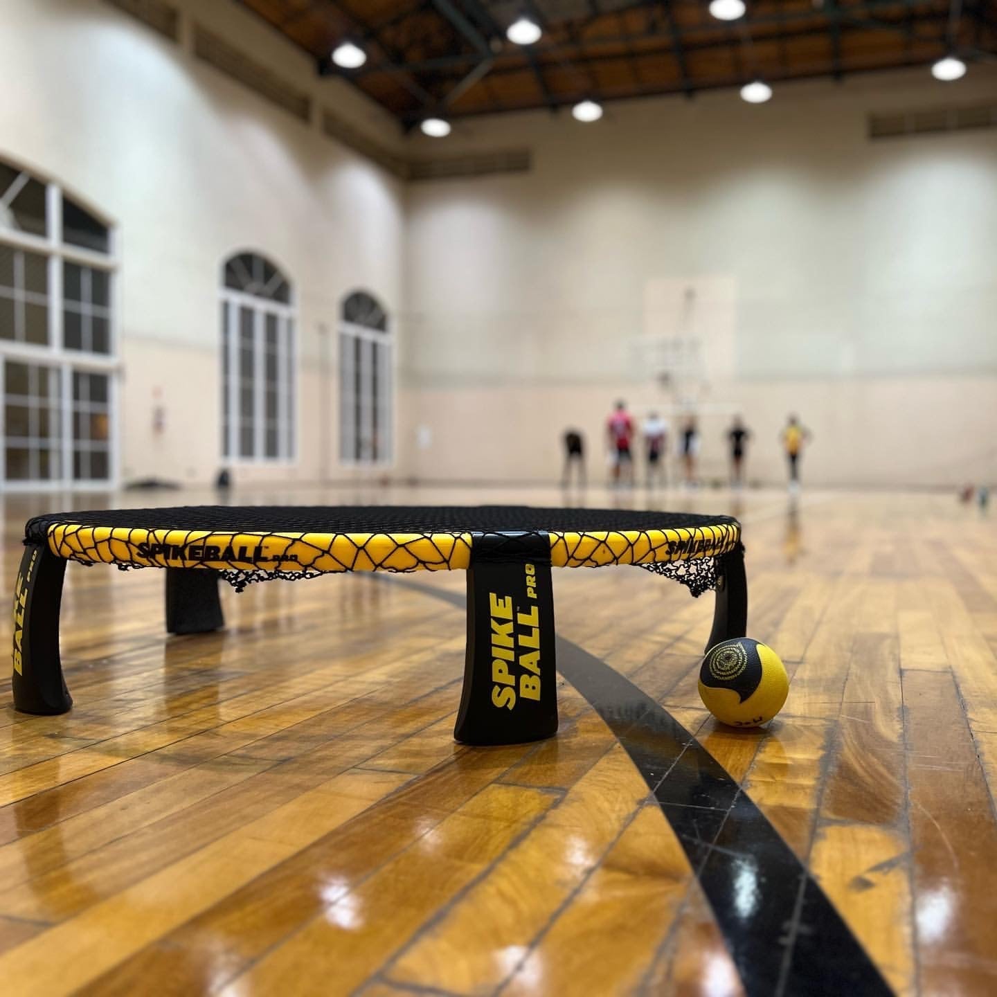 Spikeball Pro Club / School 4 net bundle